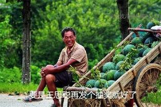 今日吃瓜在线观看,揭秘娱乐圈最新热点事件