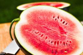 今日吃瓜每日必吃