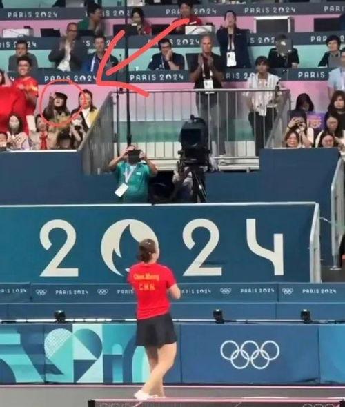 体育圈饭圈,激情燃烧的岁月